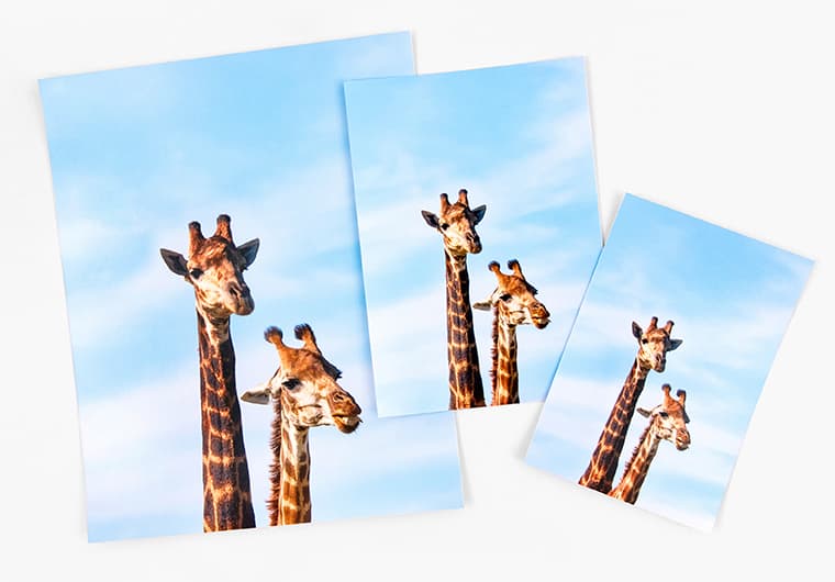 best website to get prints made